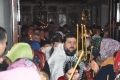 DSC_7258 (Копировать)