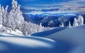 rabstol_net_winter_52