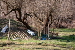 DSC_4378