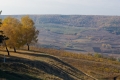DSC_2686 (Копировать)