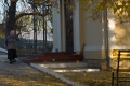 DSC_2809 (Копировать)