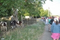 DSC_0342 (Копировать)