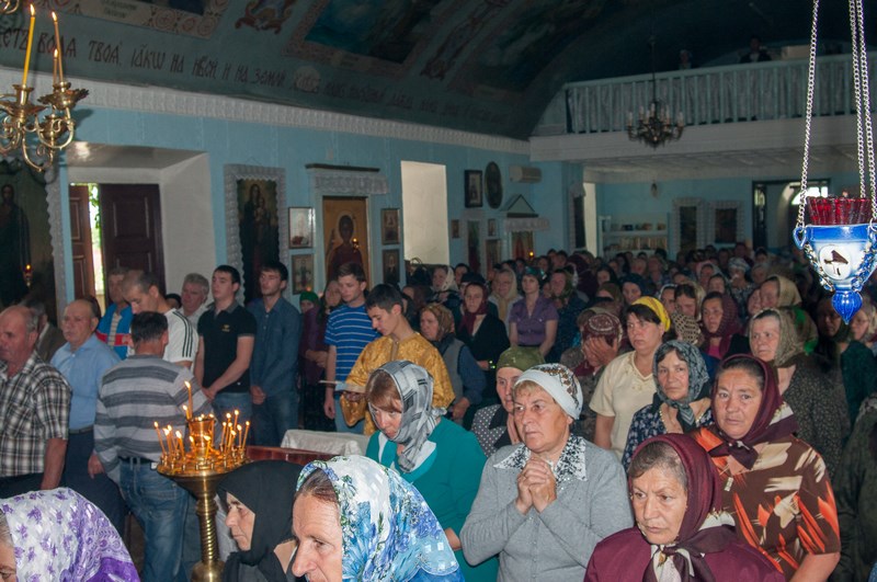 DSC_5504 (Копировать)