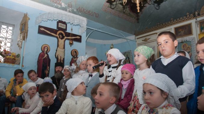 DSC_0719 (Копировать)