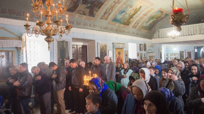 DSC_2595 (Копировать)
